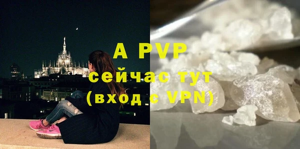 дурь Верея