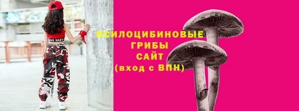 стафф Верхний Тагил