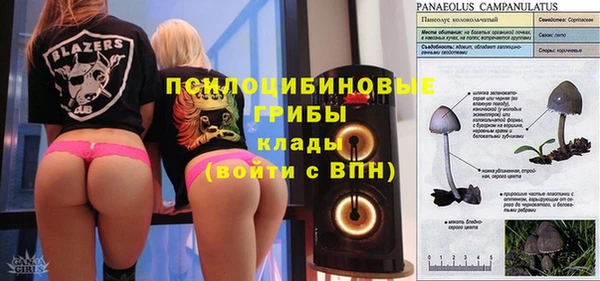 стафф Верхний Тагил