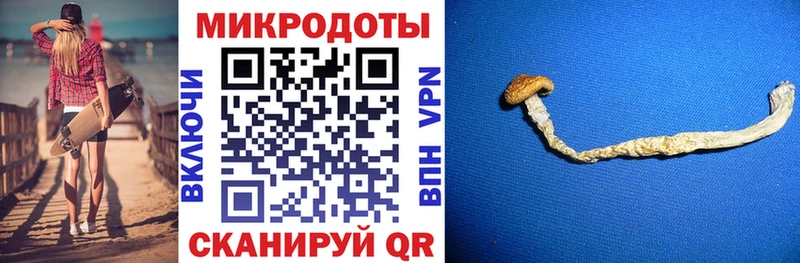 Галлюциногенные грибы Magic Shrooms  Чудово 